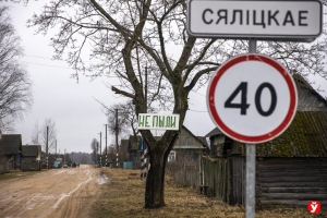 «Дорогу не подсыпали с 80-х годов, до остановки — 2 км». Что волнует жителей деревни Селицкое