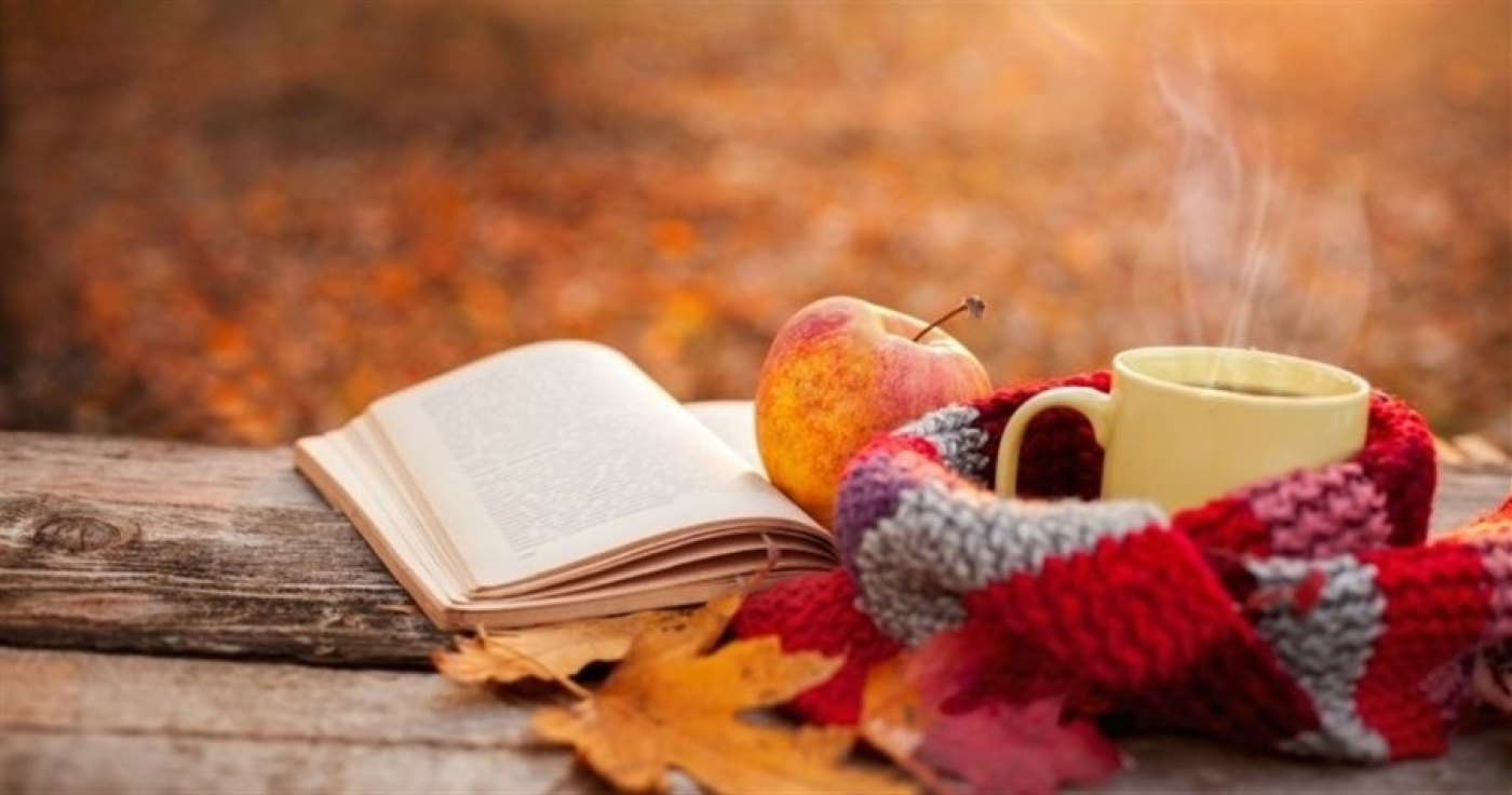 Дожди и до +19°С ожидается сегодня в Беларуси