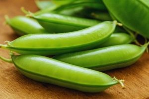 Как правильно посеять горох, чтобы собирать сладкие стручки все лето