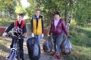 На уборку – в лесной массив
