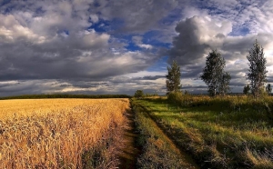 Погода в выходные: кратковременные дожди, местами грозы и до +30 °С