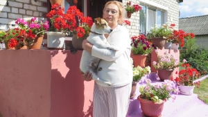 Прыгажосць, вартая гаспадароў