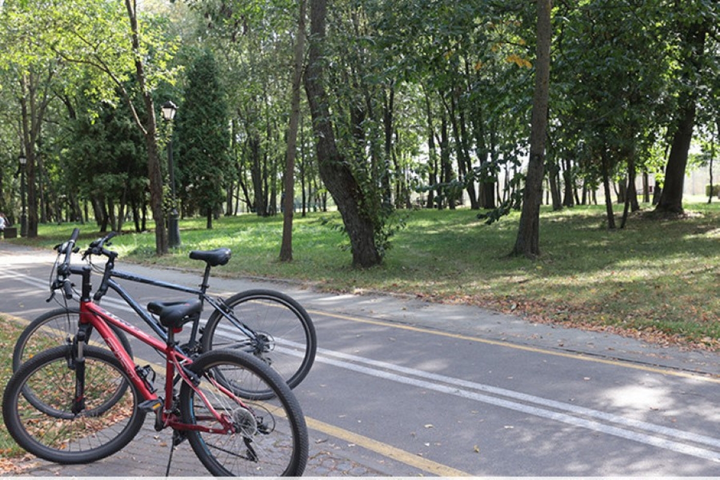 Велодорожки, контейнеры, снос ветхих домов. МЖКХ подвело итоги Года благоустройства