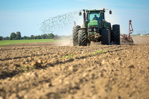 Сев озимых зерновых и крестоцветных культур