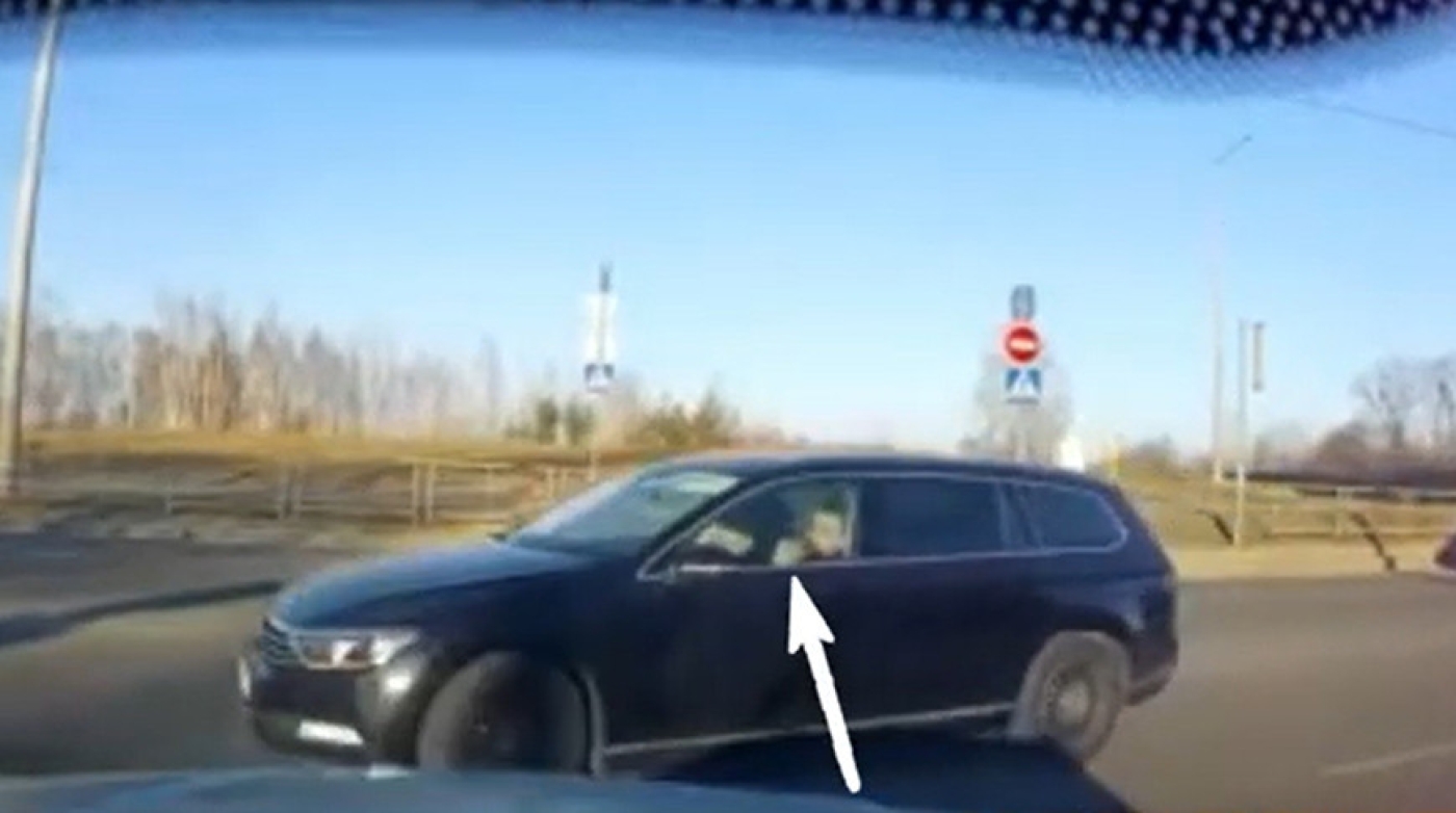 В Мозыре автомобилист перевозил на руках двухлетнего сына и нарушил пять ПДД