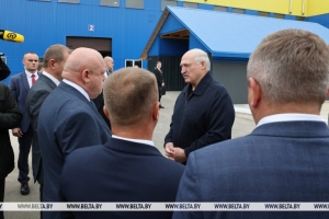 "Надо делать быстрее". Лукашенко ставит напряженные задачи для лесной отрасли