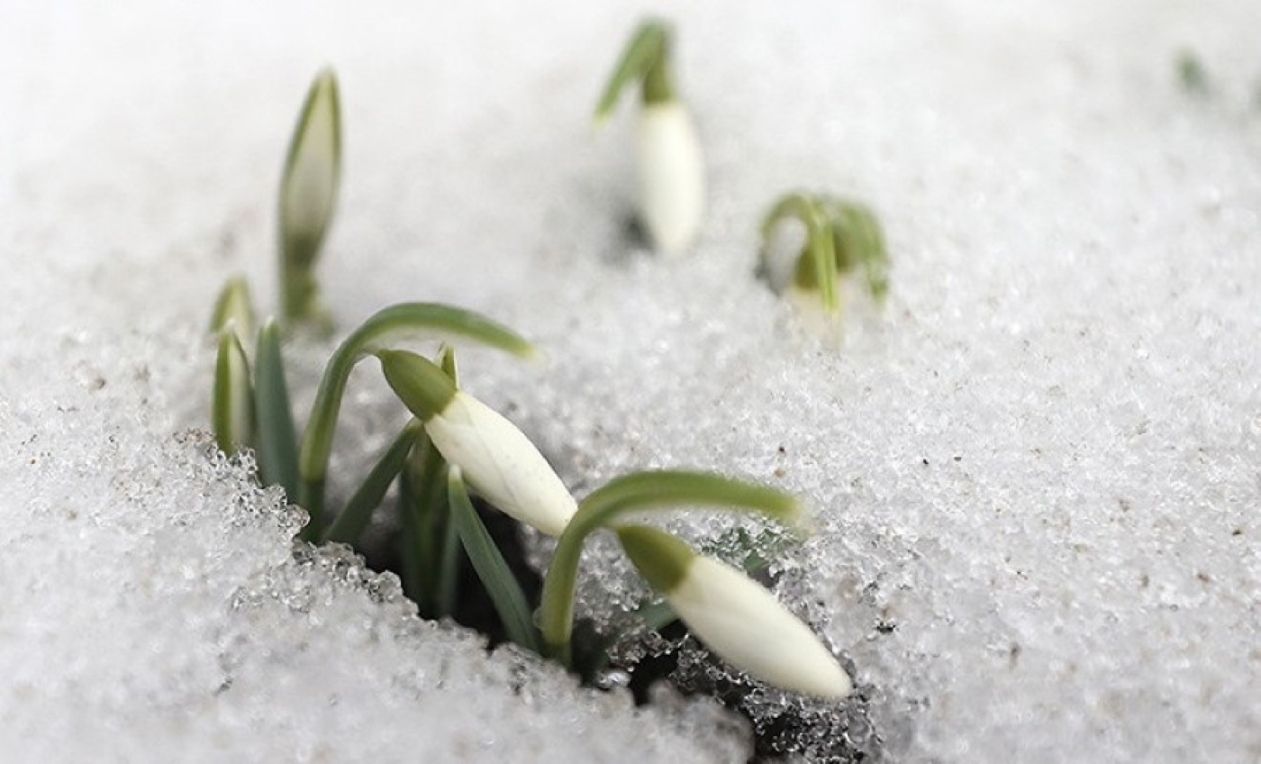 Местами дождь, мокрый снег и гололед. Какой будет погода в Беларуси в последний день зимы