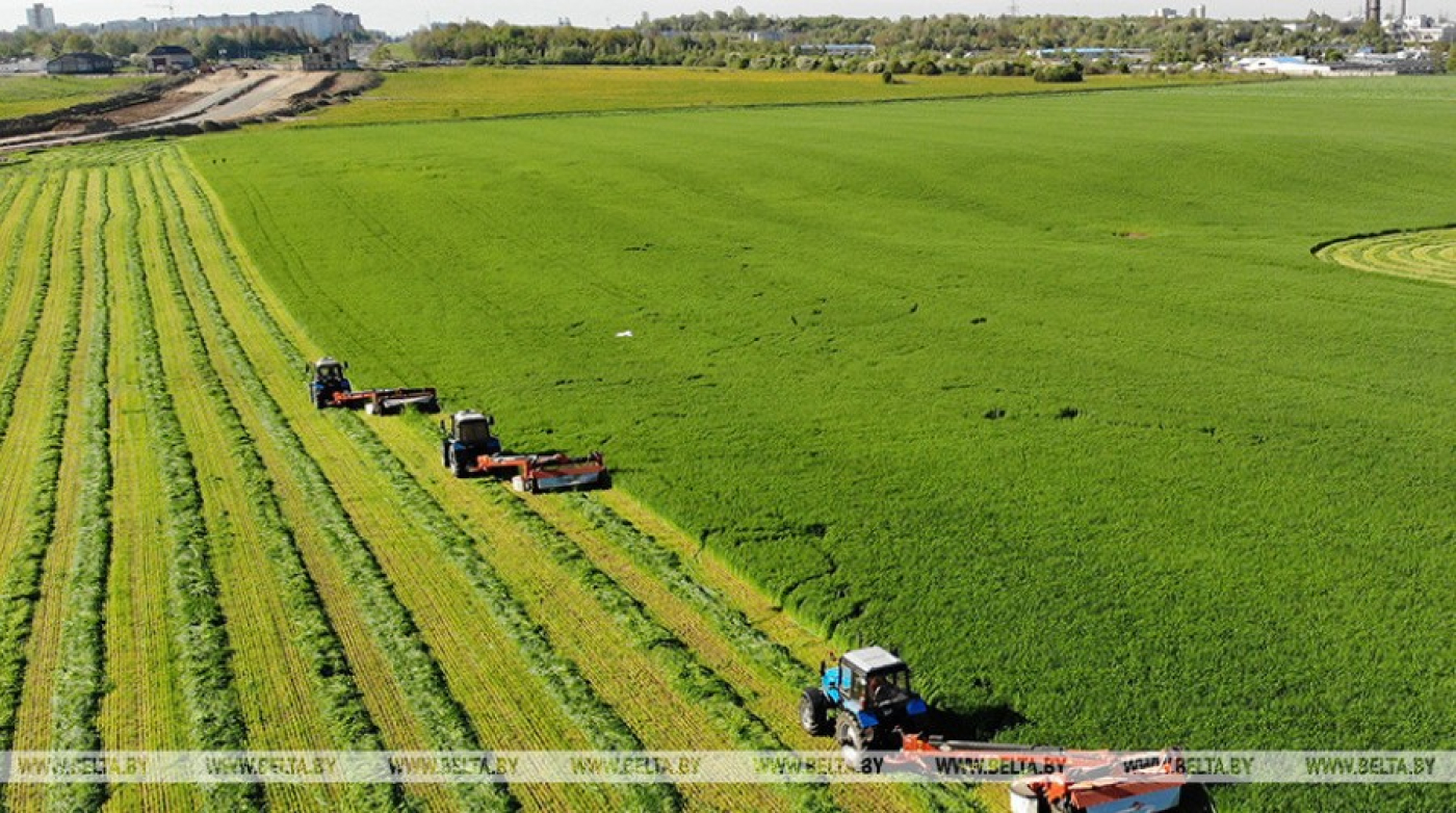 Президент о ситуации в сельском хозяйстве из-за погодных условий: катастрофы нет