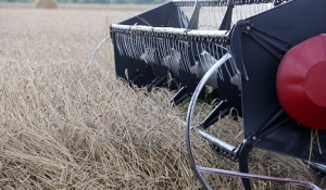 Лукашенко назвал сельское хозяйство драйвером сотрудничества с Пакистаном