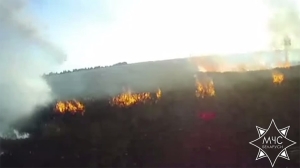 В Житковичском районе спасли при пожаре 45 га озимой пшеницы на корню