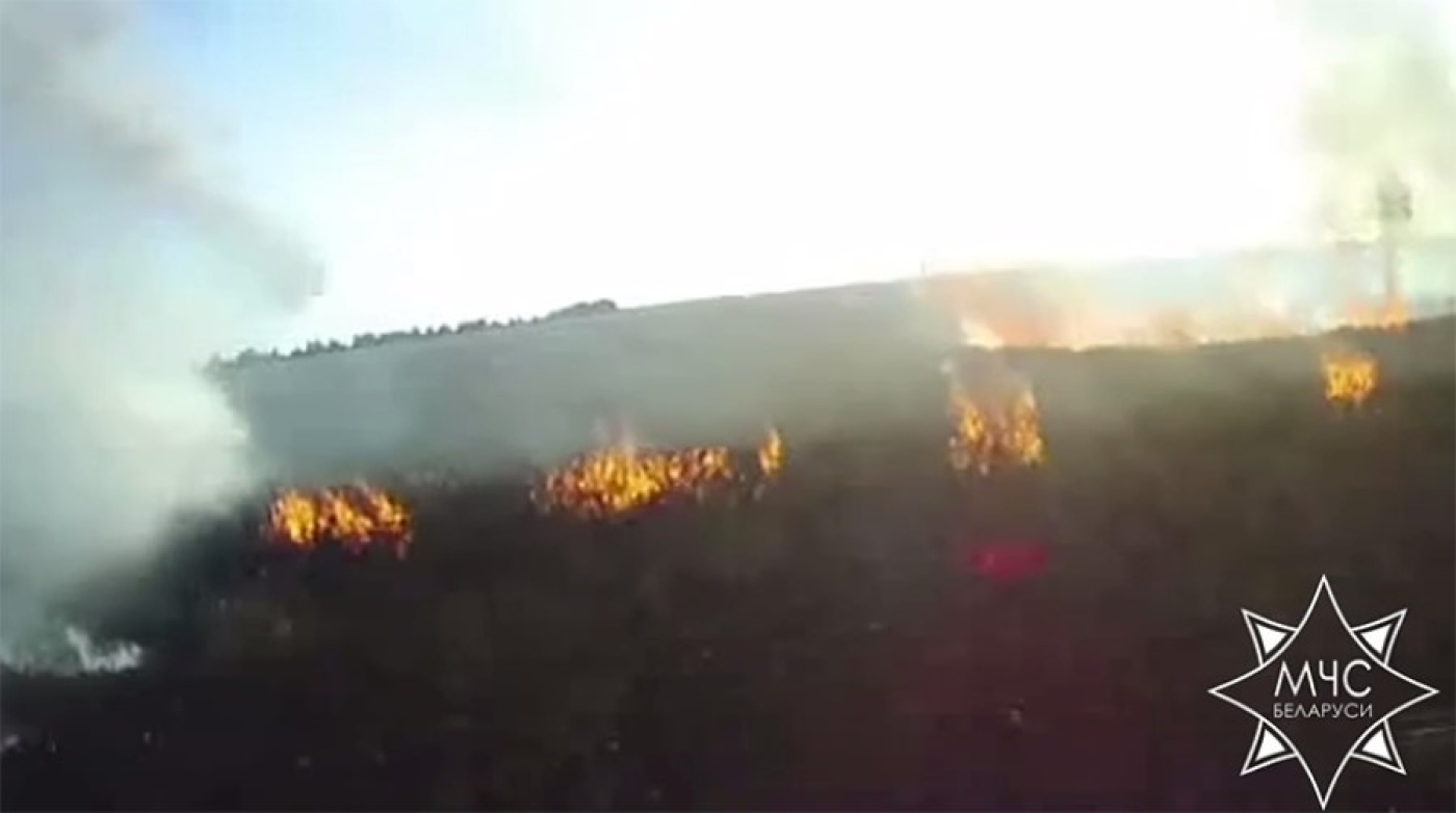 В Житковичском районе спасли при пожаре 45 га озимой пшеницы на корню