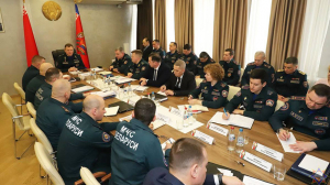 Профилактику гибели людей при пожарах и на воде обсудили в МЧС