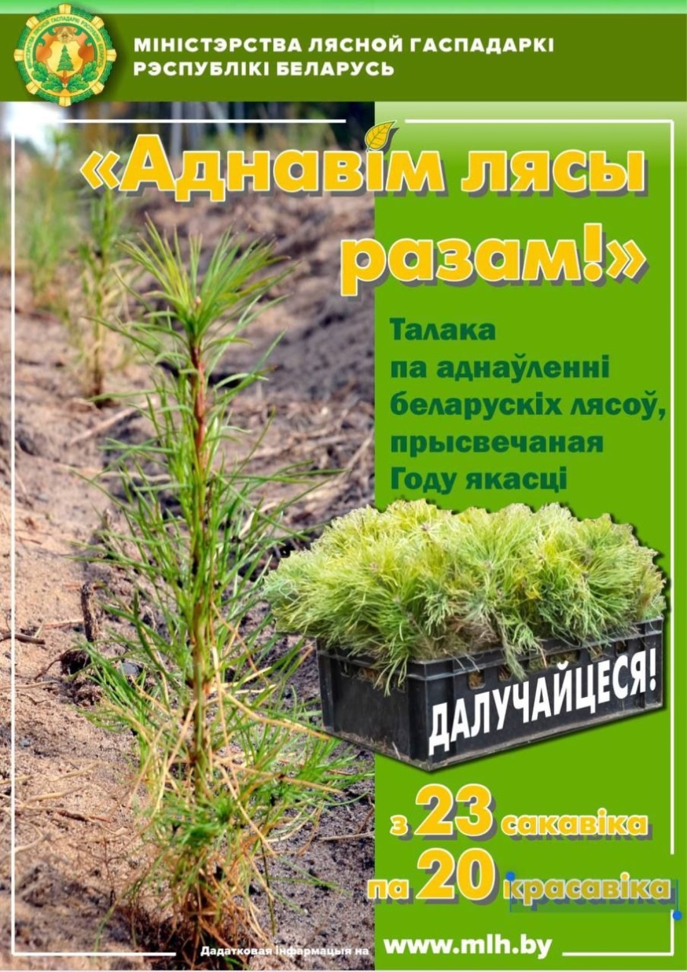 Акция «Восстановим леса вместе!» стартует на Березинщине