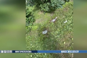 Подросток в Минске сбросил с чердака пакеты с водой, пострадали несколько девочек