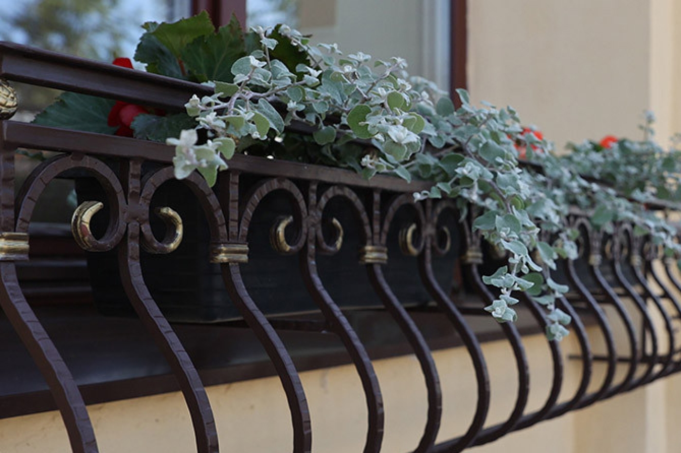 В Березинском районе объявляется конкурс на лучшее оформление балконов и лоджий!