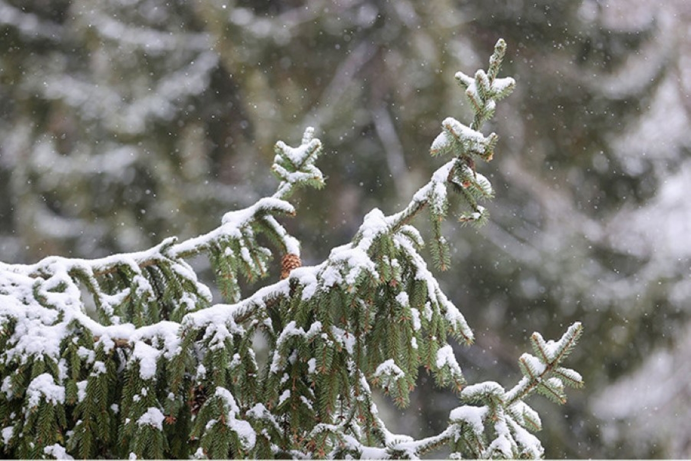 Гололед, снег, по югу - с дождем. Синоптики рассказали о погоде на 7 февраля