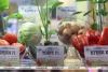 Новые сорта и цифровые технологии: какие разработки белорусских ученых показали на «Белагро-2026»