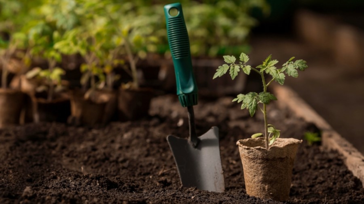 Как выбрать грунт для рассады