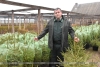 Там, где рождается лес