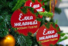 Благотворительная кампания ''Ёлка желаний''