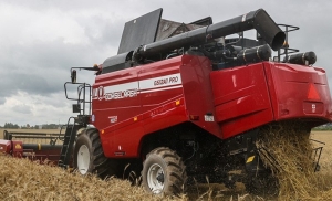 Озимый рапс на зерно в Беларуси убрали с 14,1% площадей