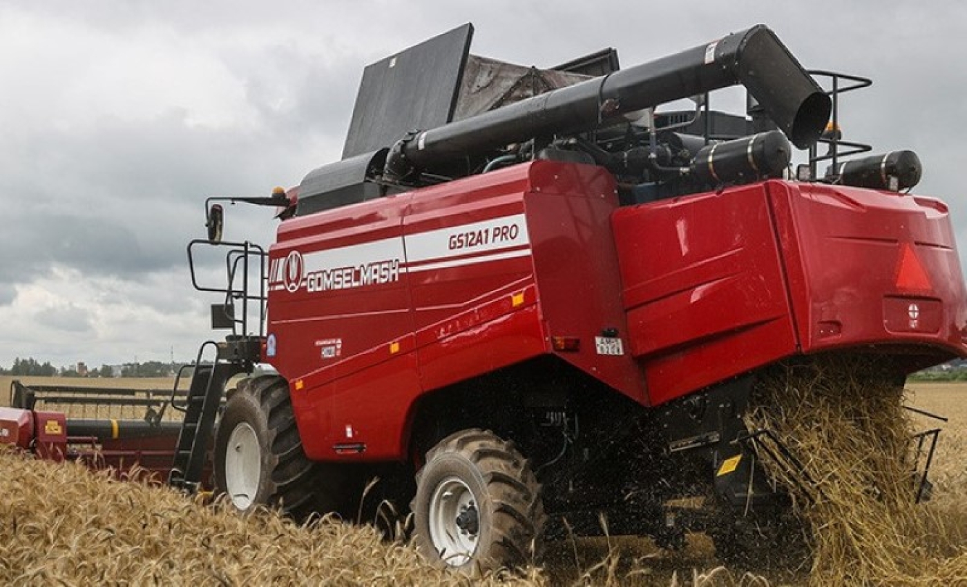 Озимый рапс на зерно в Беларуси убрали с 14,1% площадей