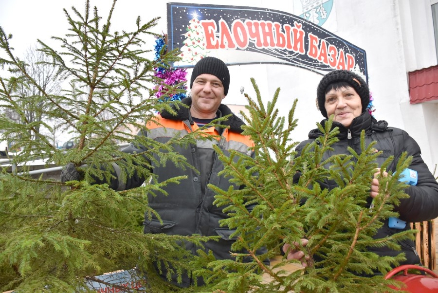 К вам ёлочки приехали. Не проходите мимо!