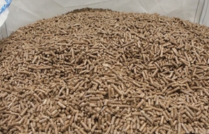 Сколько стоит отопление дома древесными пеллетами, рассказал зампредседателя Госстандарта