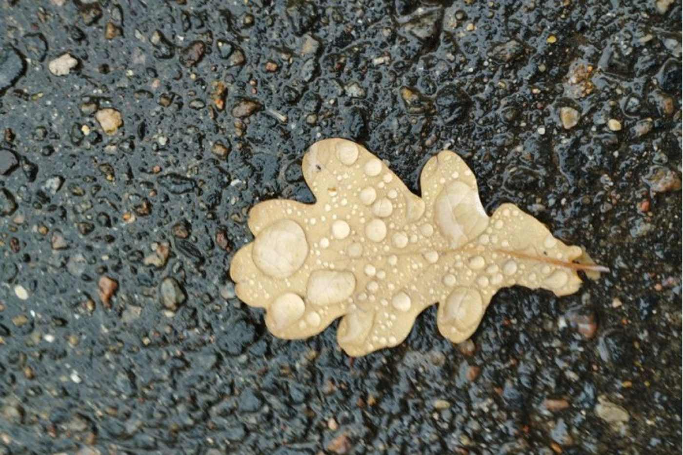 Сентябрь 2022 года стал самым холодным за последние 20 лет