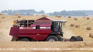 Сельское хозяйство и промышленность. Открытый урок Лукашенко начал с важных экономических тем