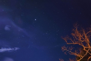 Белорусы оценят "поцелуй Венеры" – это что еще такое