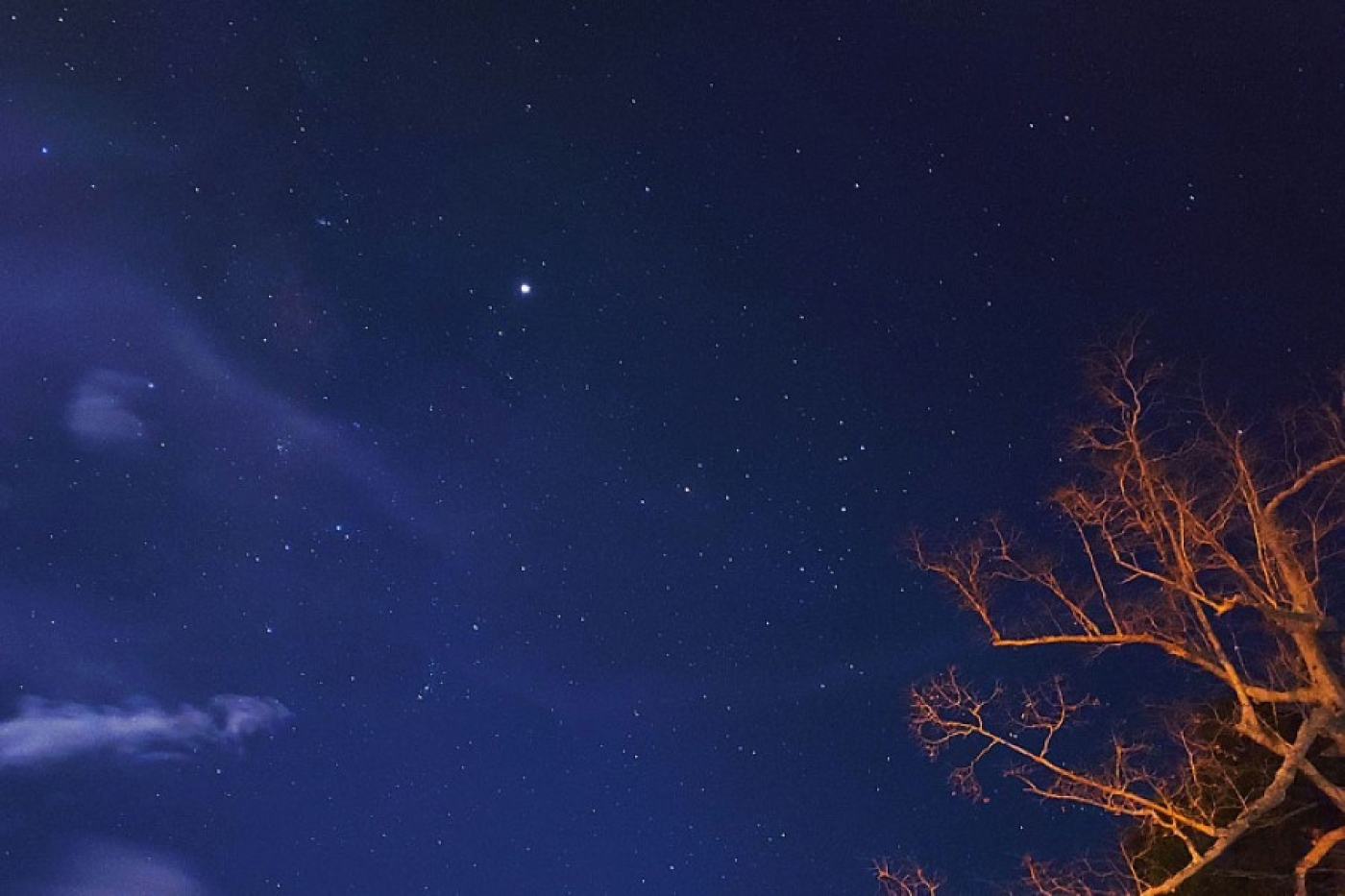 Белорусы оценят "поцелуй Венеры" – это что еще такое