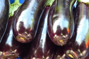 Без этой подкормки баклажаны растут очень медленно – запоминайте