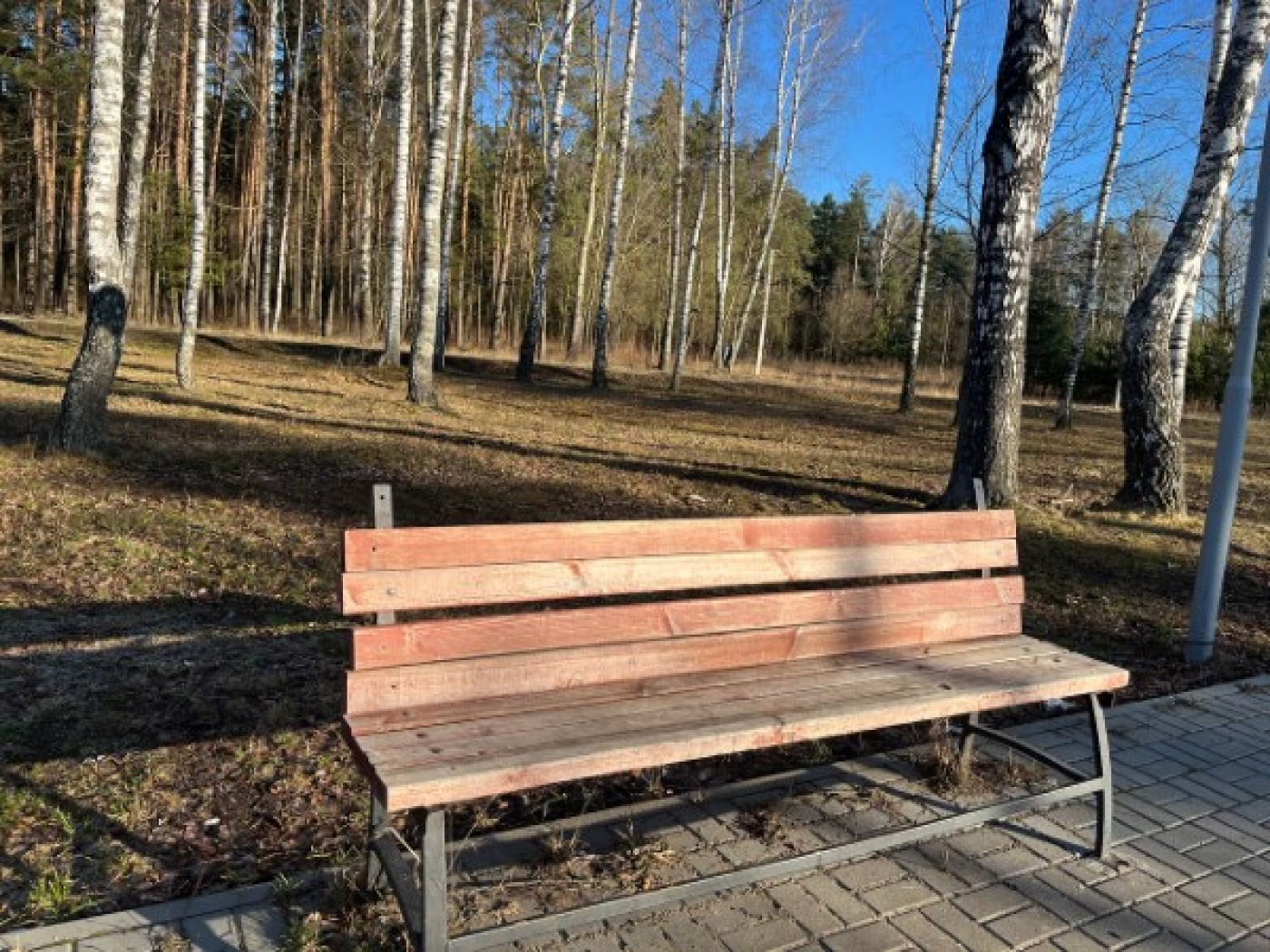 Кто сломал скамейку?