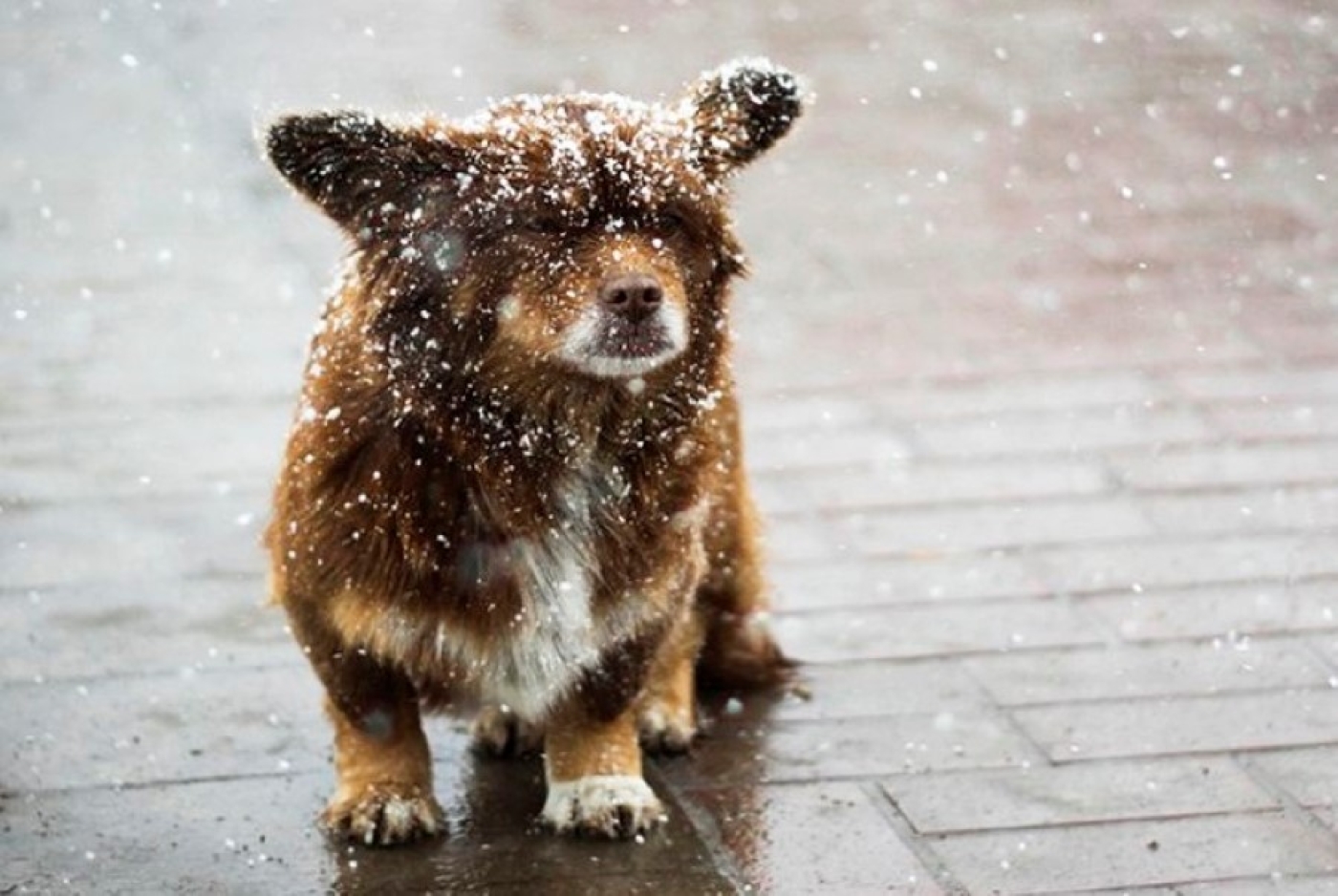 Погода в выходные: дожди, ночные заморозки и до +19 °С днем
