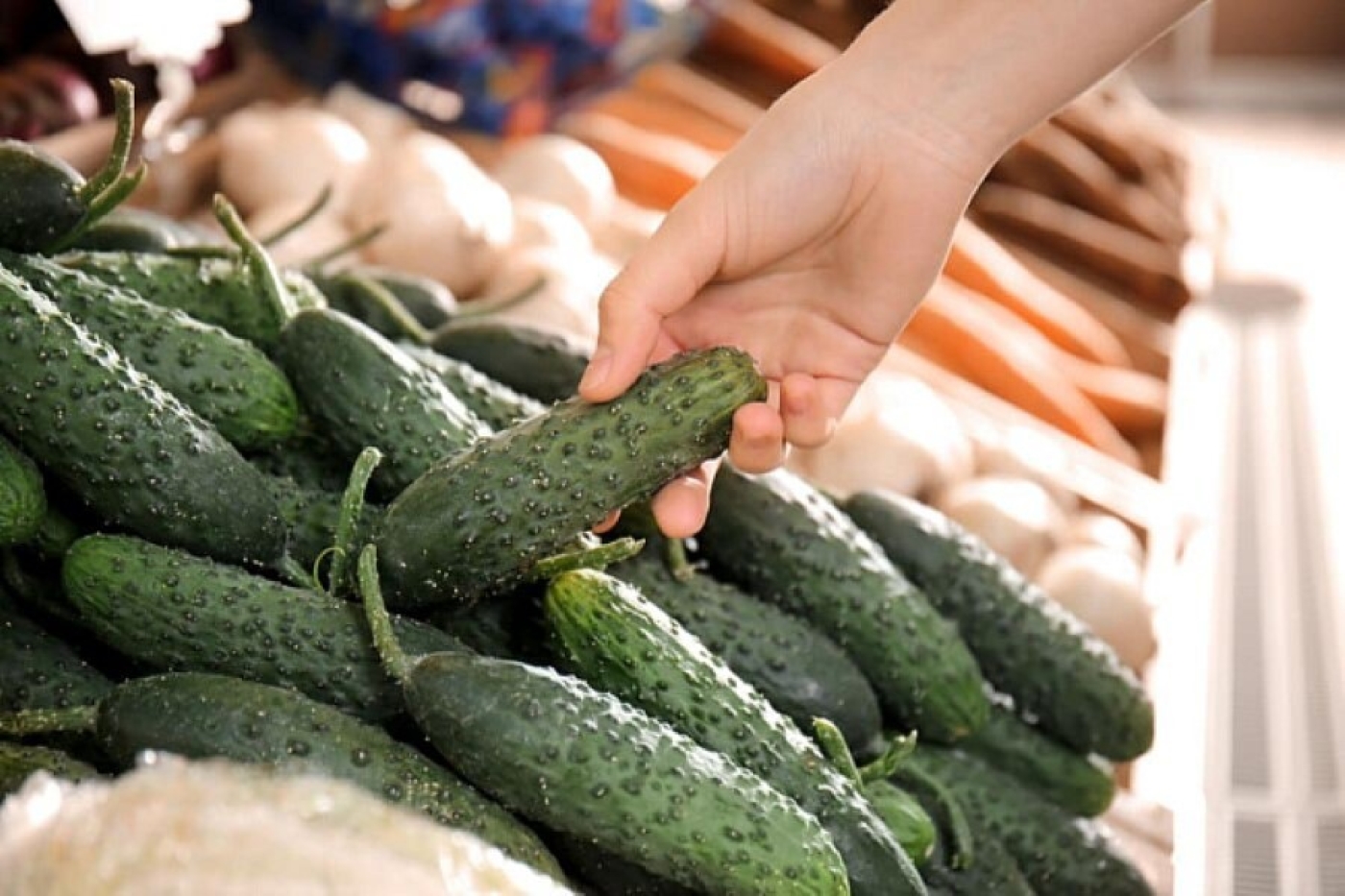 10% с урожая: кто из дачников будет платить налог от продажи продуктов со своего участка