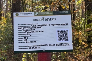Получить помощь, заказать дрова и узнать о рубках: в белорусских лесах устанавливают спецзнаки