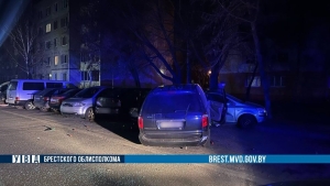 В Бресте пьяный 16-летний бесправник пытался скрыться от ГАИ и повредил 14 авто