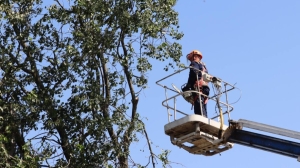 В Беларуси продолжают восстанавливать электроснабжение в 22 населенных пунктах