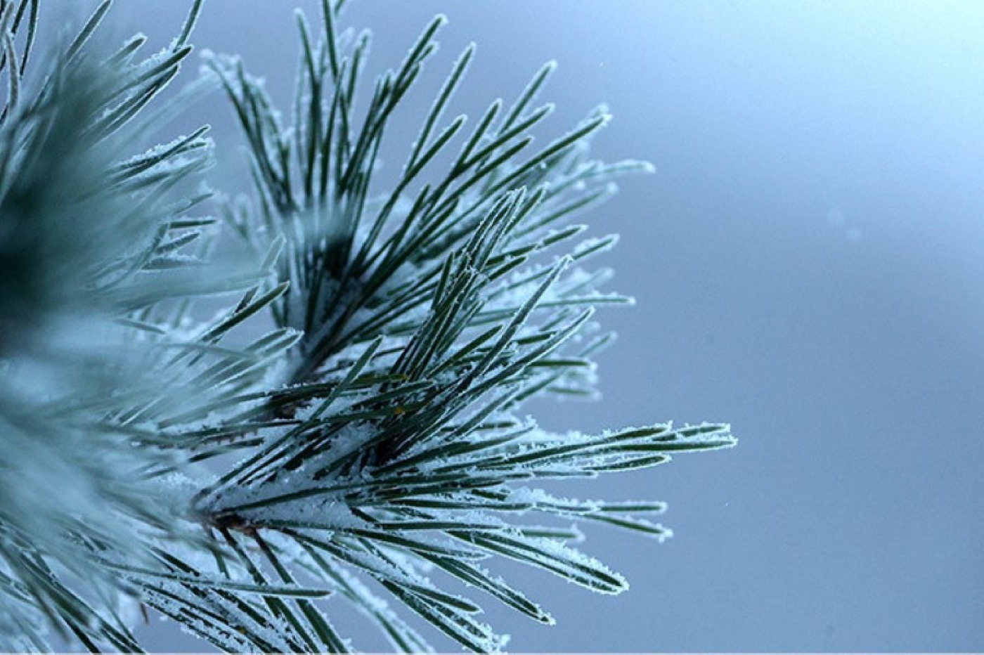 Зимний воздух кажется грязнее? Почему так происходит, рассказали в Белгидромете