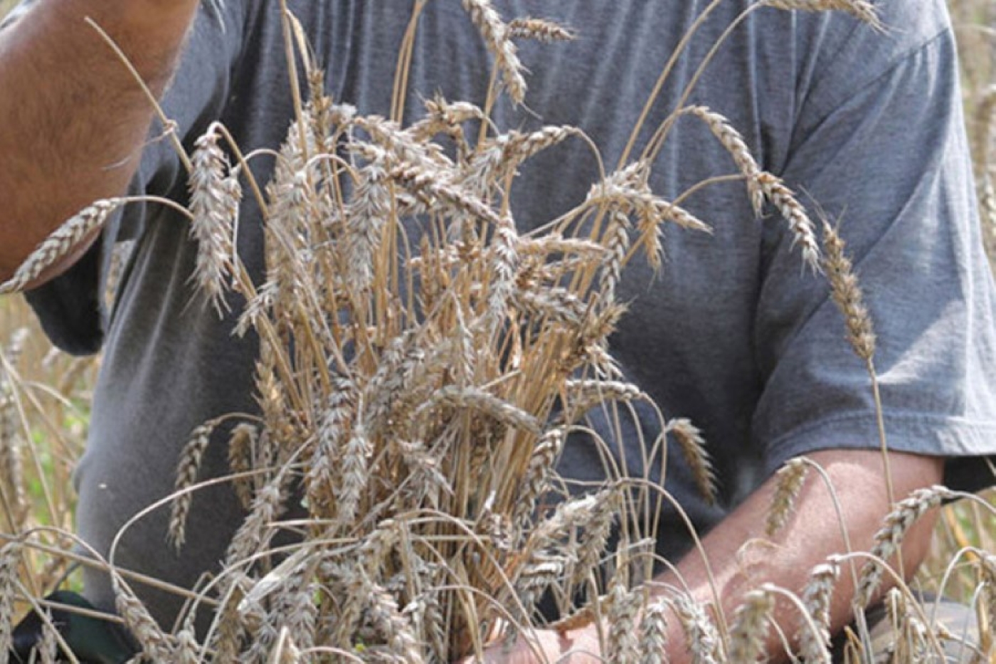 Слет молодых работников села "АгроБудущее" пройдет в Минске 4-6 марта