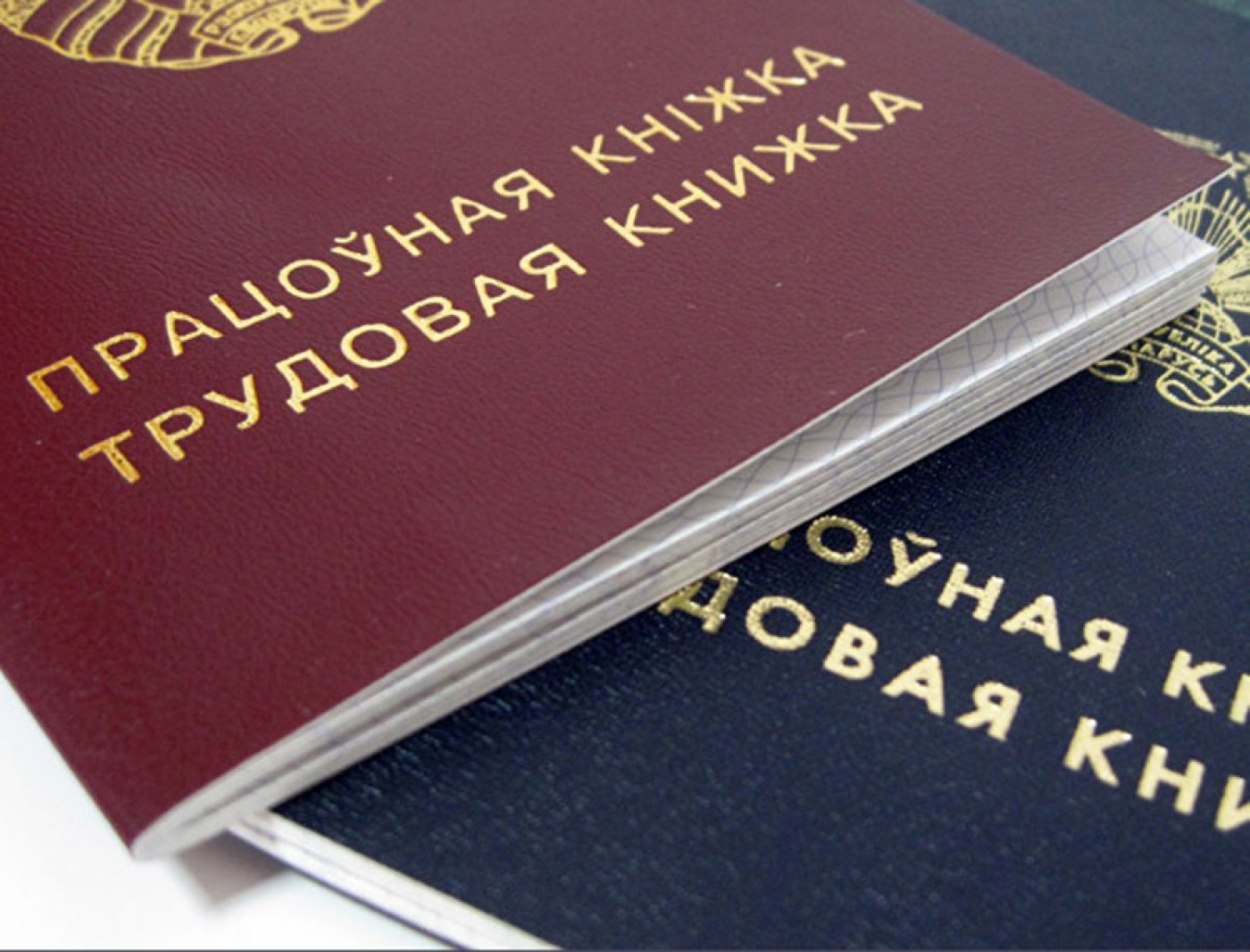 График работы комиссии по содействию занятости