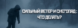Сильный ветер и снегопад: что делать?