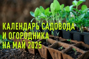Календарь садовода и огородника на май 2025