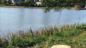 Парень утонул в озере в Столбцовском районе