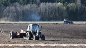 Лукашенко про дисциплину в сельском хозяйстве: требования будут только усиливаться
