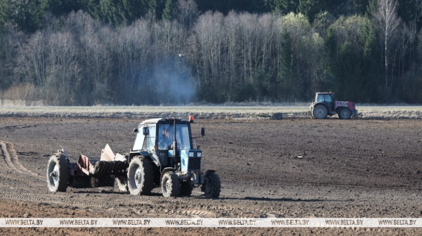 Лукашенко про дисциплину в сельском хозяйстве: требования будут только усиливаться