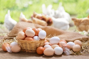 Врач рассказала, в каком виде есть куриные яйца опасно для здоровья
