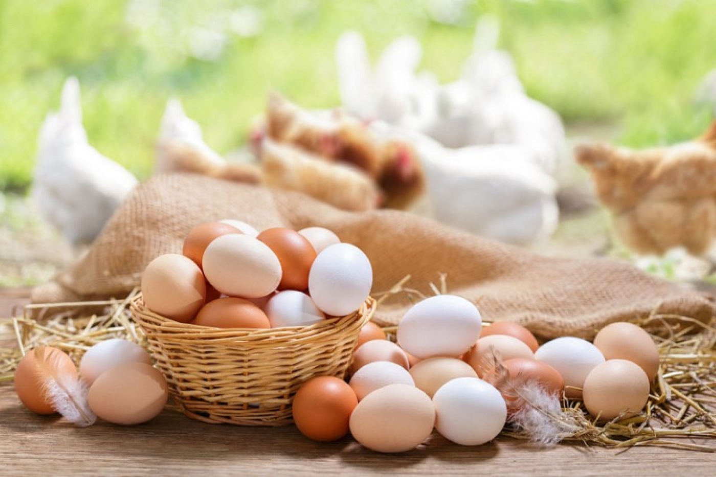Врач рассказала, в каком виде есть куриные яйца опасно для здоровья