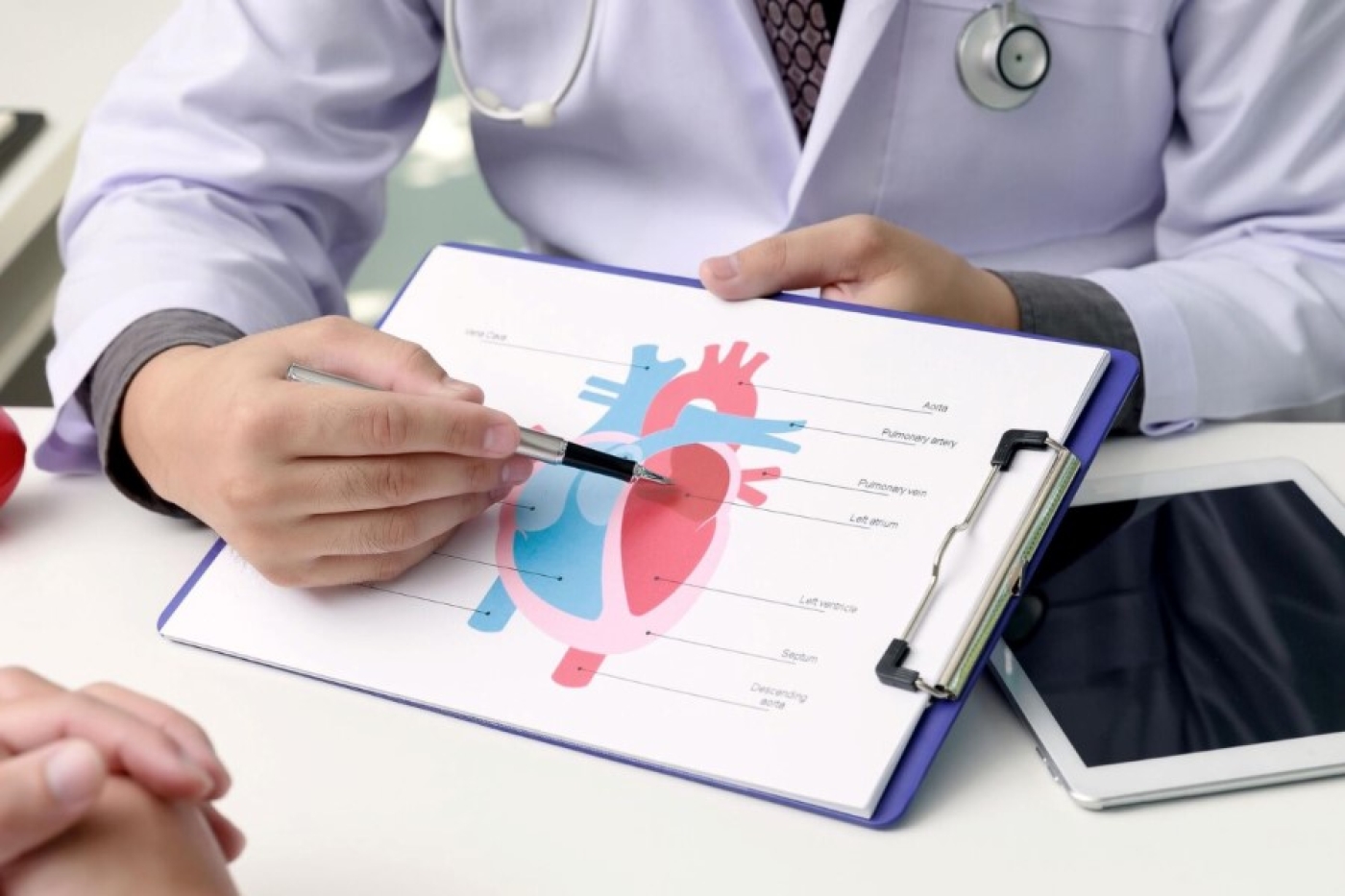 Полное обследование сердца: с чего начать и что проверить